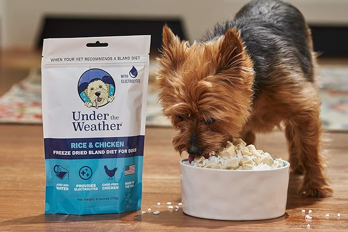 Under the Weather Bland Diet for Dogs | Easy to Digest for Sick Dogs | Always Be Ready | Contains Electrolytes - All Natural Freeze Dried 100% Human Grade Meats | 6 Pack - Chicken, Rice - 6oz