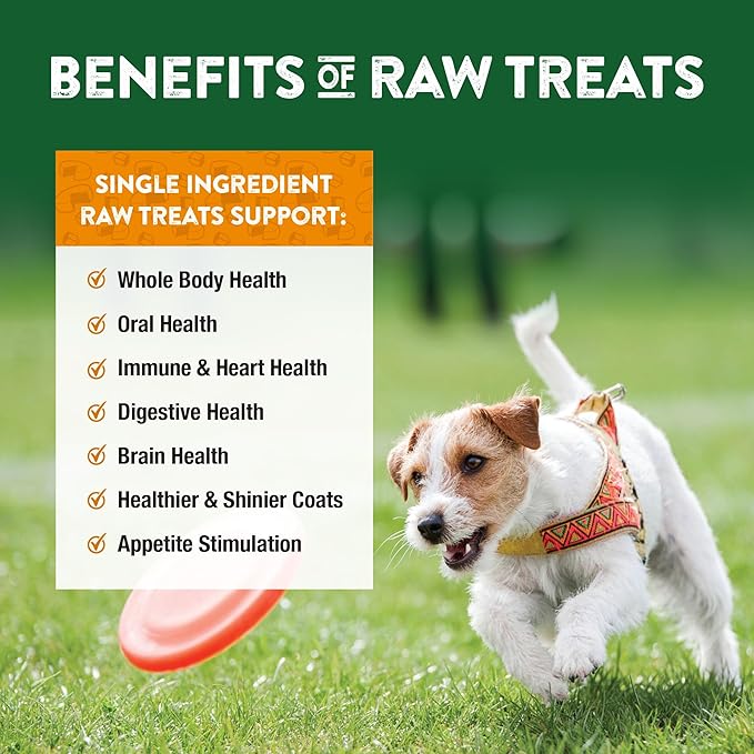 Northwest Naturals Raw Rewards Freeze-Dried Cheddar Cheese Treats for Dogs and Cats - Bite-Sized Pieces - Healthy, 1 Ingredient, Human Grade Pet Food, Natural - 6 Oz (Pack of 3)