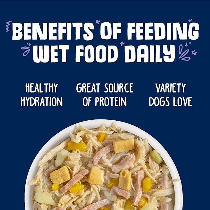 Weruva Classic Dog Food, Bed & Breakfast with Chicken, Egg, Pumpkin & Ham in Gravy, 5.5oz Can (Pack of 24), Blue