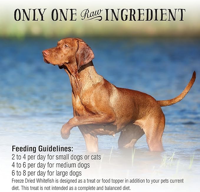 Northwest Naturals Raw Rewards Freeze-Dried Whitefish Treats for Dogs and Cats - Bite-Sized Pieces - Healthy, 1 Ingredient, Human Grade Pet Food, All Natural - 2.5 Oz (Pack of 3)