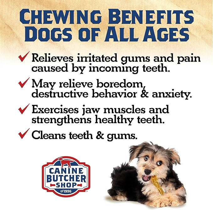 Turkey Tendons for Dogs Made in USA, Raised in USA, All-Natural Dog Chews for Small Dogs, Dog Snack for Large Dogs, Single-Ingredient Treat, Healthy No Hide Dog Chews (3 oz)