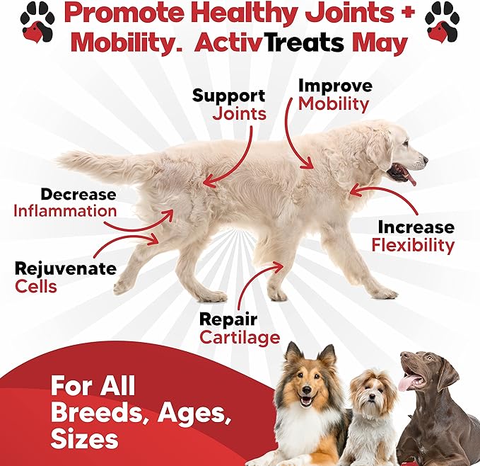 Glucosamine for Dogs Hip and Joint Supplement - Safe Joint Support for Dogs - Dog Joint Supplement with Glucosamine Chondroitin MSM Turmeric - 120 Joint Care Chews for Dogs ActivTreats