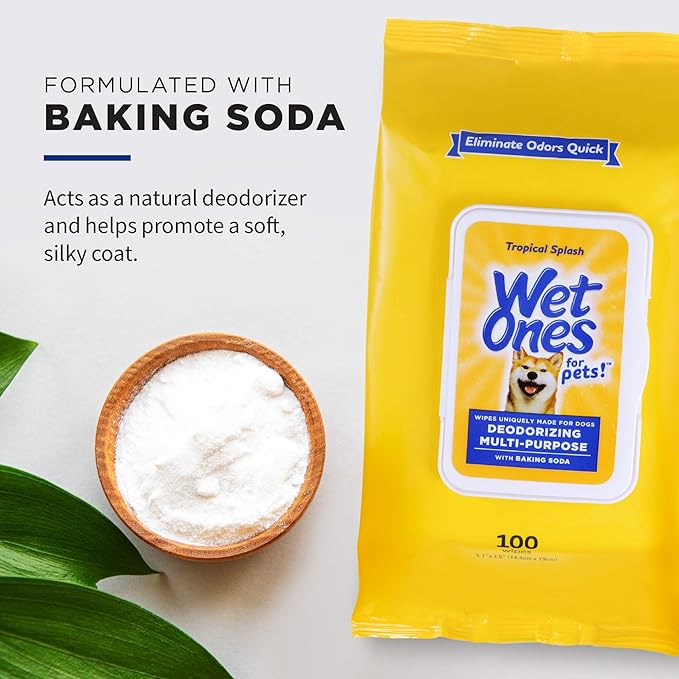 Wet Ones for Pets Desmellizing Multi-Purpose Dog Wipes with Baking Soda Dog Desmellizing Wipes for All Dogs in Tropical Splash Scent, Wet Ones Wipes for Desmellizing Dogs (Pack of 12,1200 Count Total)