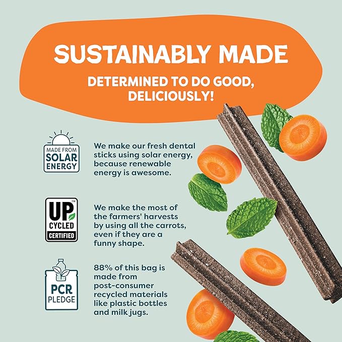 Shameless Pets Dental Treats for Dogs, Carrate Chomp (32 Sticks) - Dental Sticks with Skin & Coat Support for Teeth Cleaning & Fresh Breath - Dog Bones Dental Chews Free from Grain, Corn & Soy