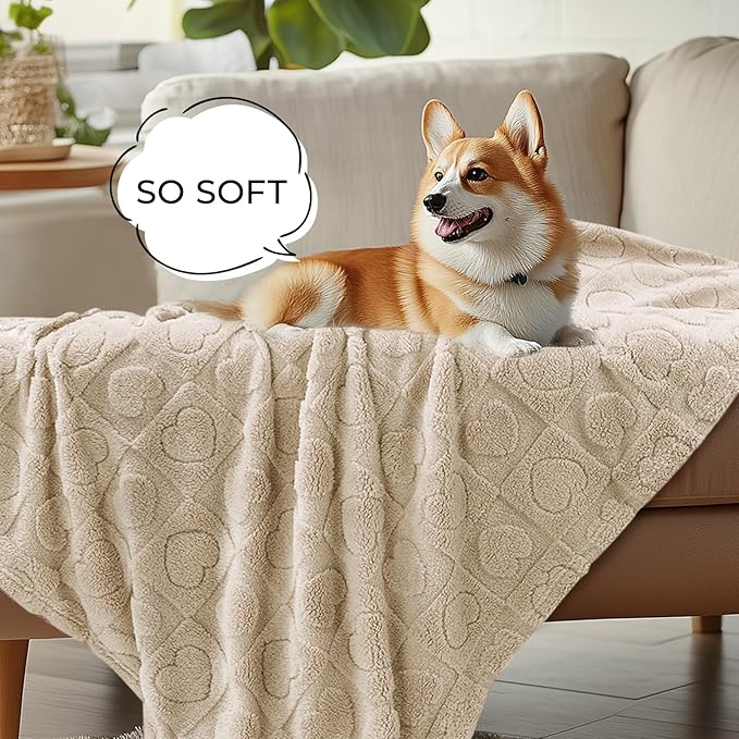 Luciphia Small Dog Blanket Washable Pet Bed Cover Soft Fluffy Puppy Blanket with Premium Fleece Cozy Calming Cat Blankets for Indoor Cats Beige 41x31 inch