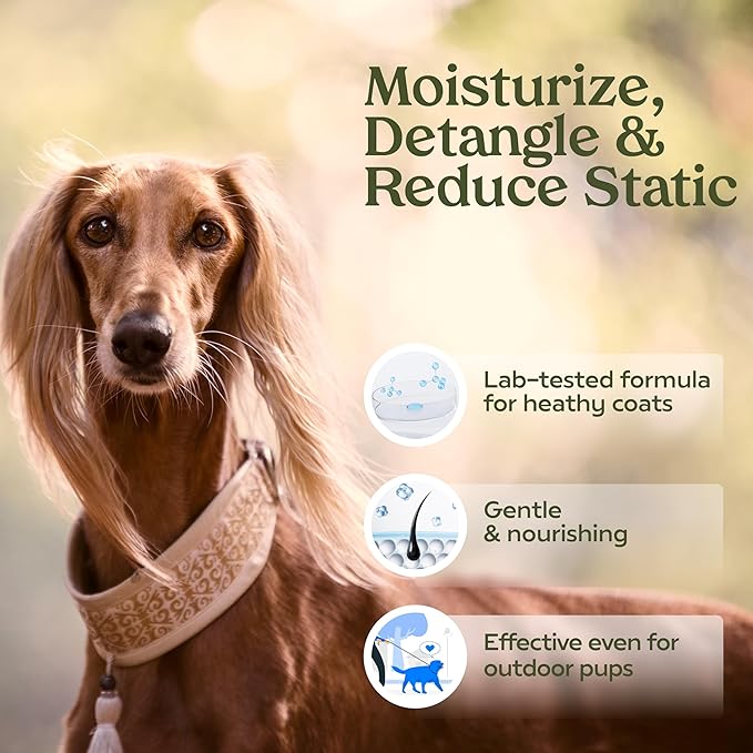 PAWFUME Dog Perfume Spray Long Lasting Scent for Grooming, Show Dog, 4-Pack – Keep Your Pup Fresh All Day – Hypoallergenic, Alcohol-Free, Detangling & Moisturizing – Salon-Quality Dog Cologne Spray