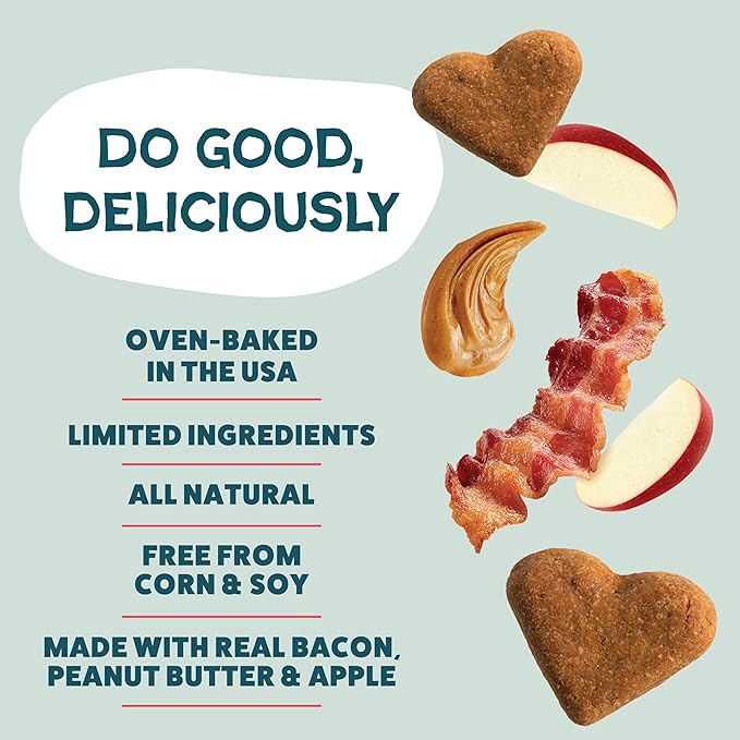 Shameless Pets Crunchy Dog Treats - Bacon It Easy, 12oz - Healthy Dog Biscuits & Cookies Treats for Medium, and Large Dogs - Made in The USA - Free from Corn & Soy