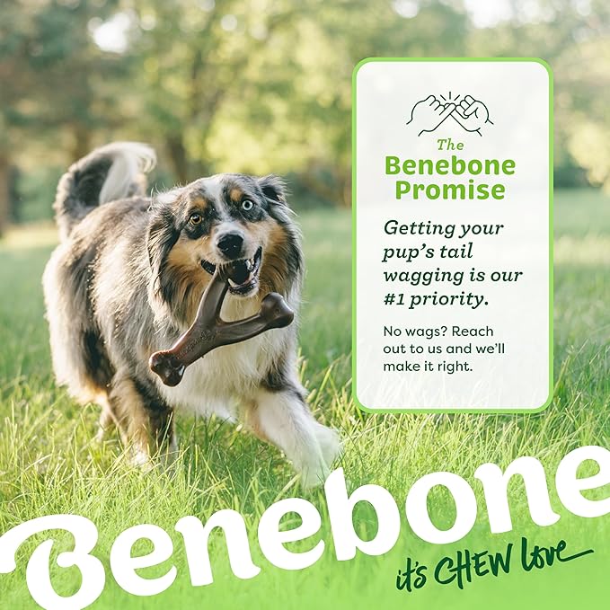 Benebone Wishbone Durable Dog Chew Toy for Aggressive Chewers, Real Chicken, Made in USA, Medium