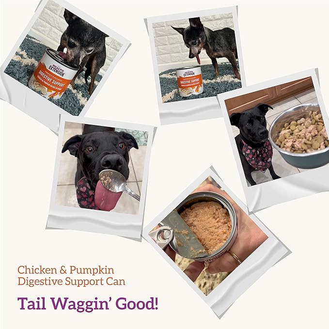 Health Extension Wet Dog Food Chicken & Pumpkin Entrée in Gravy, 9 oz - Digestive Support with Superfoods & Antioxidants for Immune Support (Case of 12 Cans)