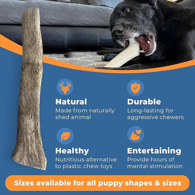Split Antler for Dogs - Natural Dog Antlers for Aggressive Chewers - USA Sourced Elk Antlers for Dogs Small, Medium, Large - Healthy Elk Antlers for Teeth Cleaning & Chewing Pleasure
