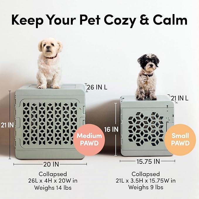 KindTail PAWD Collapsible Puppy and Dog Crate + Washable Bed - Stylish Pet Kennel with Comfortable Pad - Safe Indoor Set - Lightweight, Compact & Portable for Travel - Medium White