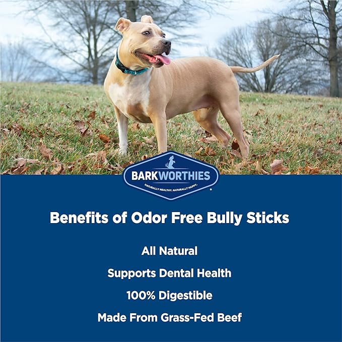 Barkworthies Odor-Free Bully Stick Treat, 6", (Pack Of 5)