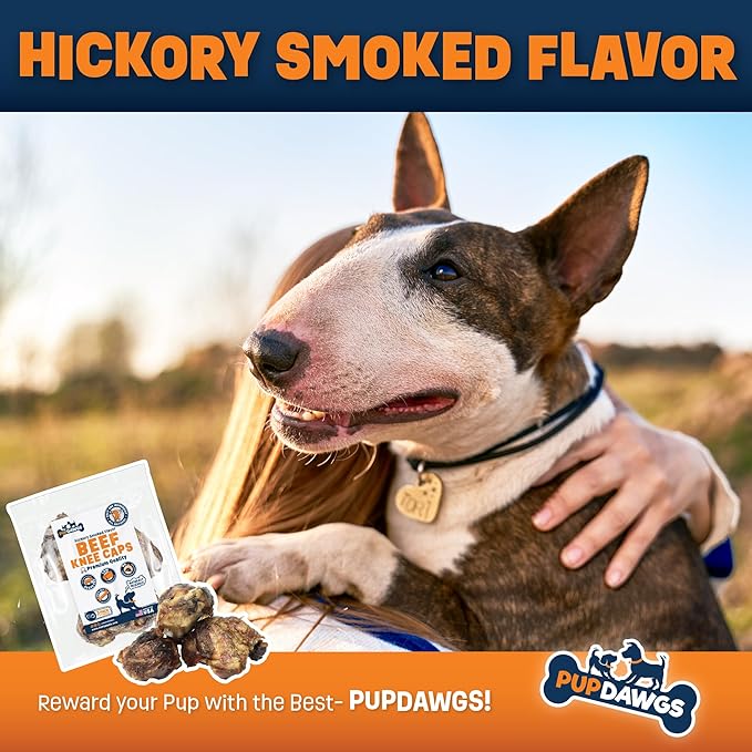 Single Ingredient Dog Bone Made in USA - Beef Knee Caps - 100% Natural Dog Bones for Aggressive Chewers - from USDA Inspected Beef - Hickory Smoked - Individually Wrapped (10 Piece Pack)