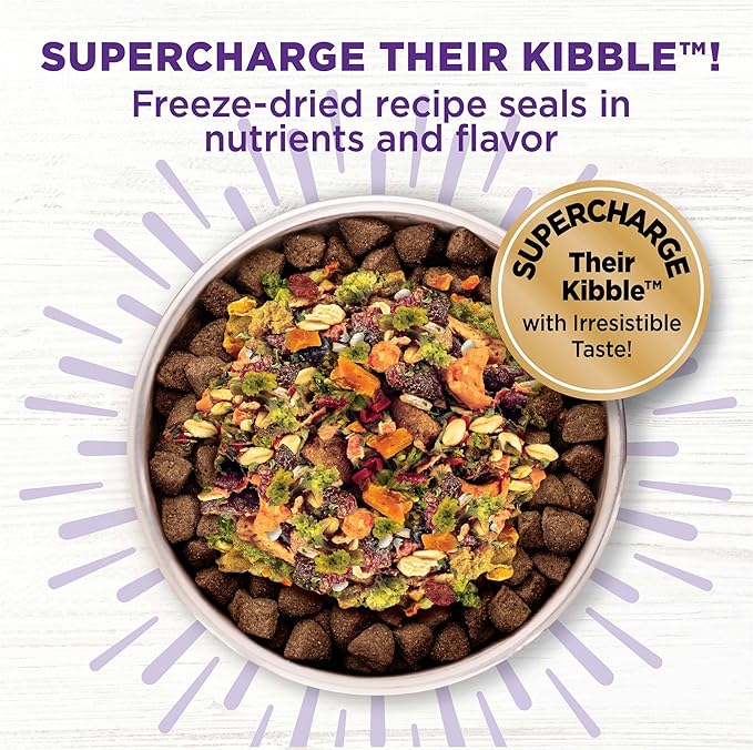 Wellness CORE Bowl Boosters, Functional Meal Topper for Immunity, Plant Based, 4 Ounce Bag