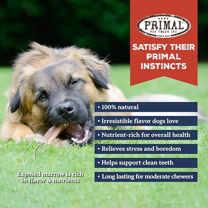 Primal Antlers for Dogs - Grade A Split Moose Antlers for Large Dogs 45-60 lb - Natural Dog Chews for Aggressive Chewers - Naturally Shed Antlers - Long Lasting Dog Bones - 1 ct