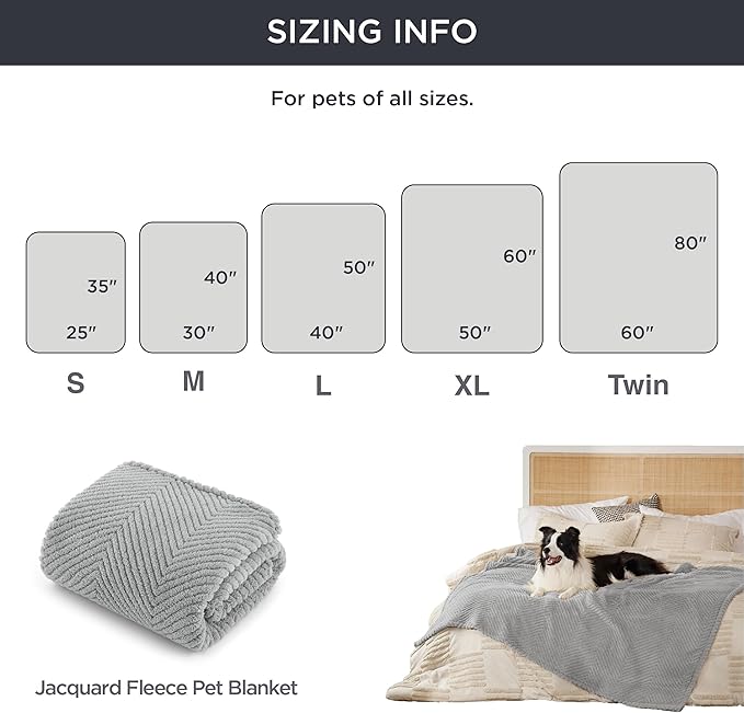 Bedsure Dog Blanket for Small Dogs Washable - Soft Fluffy Puppy Blanket with Premium 300GSM Coral Fleece, Cozy Calming Cat Blankets for Indoor Cats, Fuzzy Pet Blanket for Kitten Doggy, Light Grey