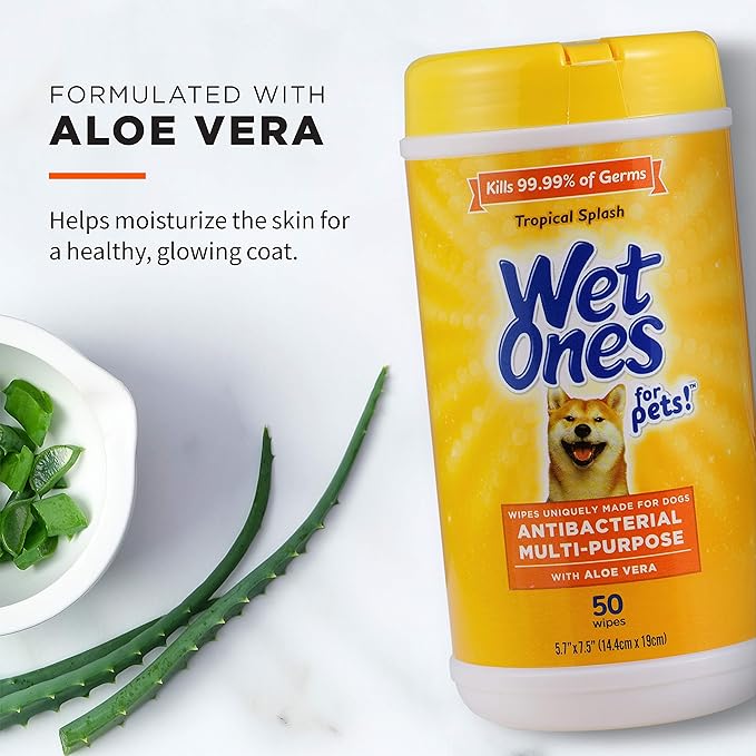 Wet Ones for Pets Multi-Purpose Dog Wipes with Aloe Vera, 50 Count - 12 Pack | Dog Wipes for All Dogs in Tropical Splash, Wipes for Paws & All Purpose