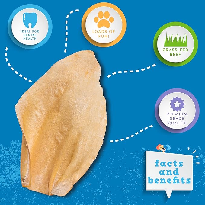Jack&Pup White Cow Ears for Dogs | Single Ingredient, 100% Natural Healthy Dog Treats Cow Ear Dog Chews (15 Pack)