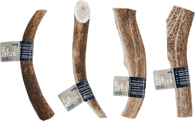 Amazon Brand - Wag Elk Antler - Whole - X-Large 9.5-10.5 inches (Best for Dogs over 45 lbs)