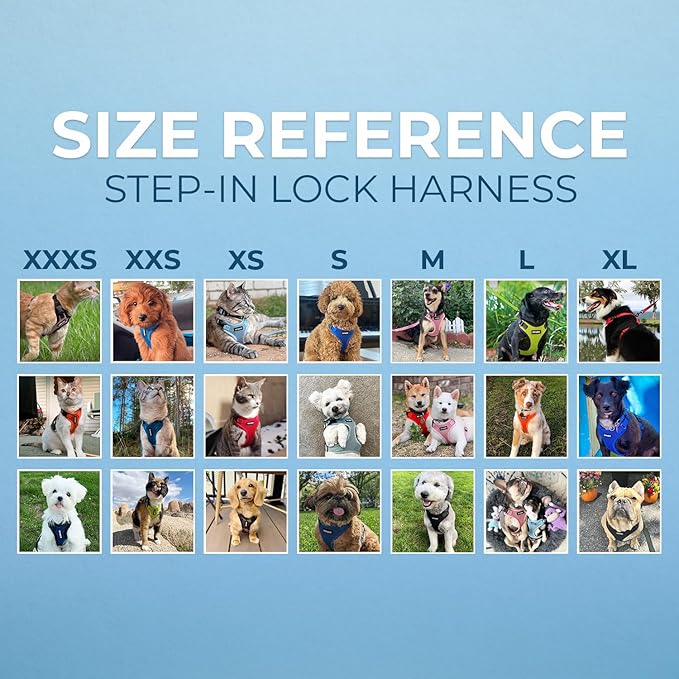 Voyager Step-in Lock Pet Harness - All Weather Mesh, Adjustable Step in Harness for Cats and Dogs by Best Pet Supplies - Turquoise/Black Trim, S