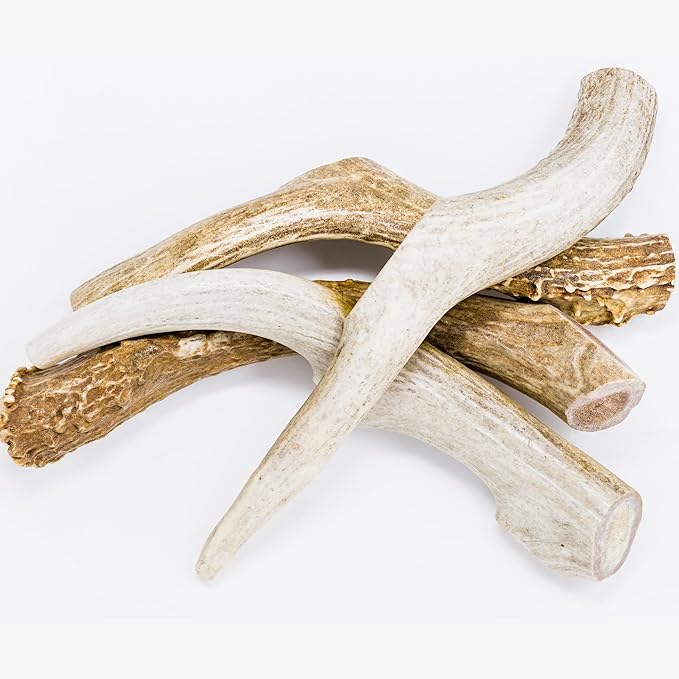hotspot pets Premium Whole Deer Antlers for Dogs - 8+ Inch X-Large Deer Antler Dog Chews - Naturally Shed for Large Breed Aggressive Chewers - Sourced in USA (1, X-Large Antler)