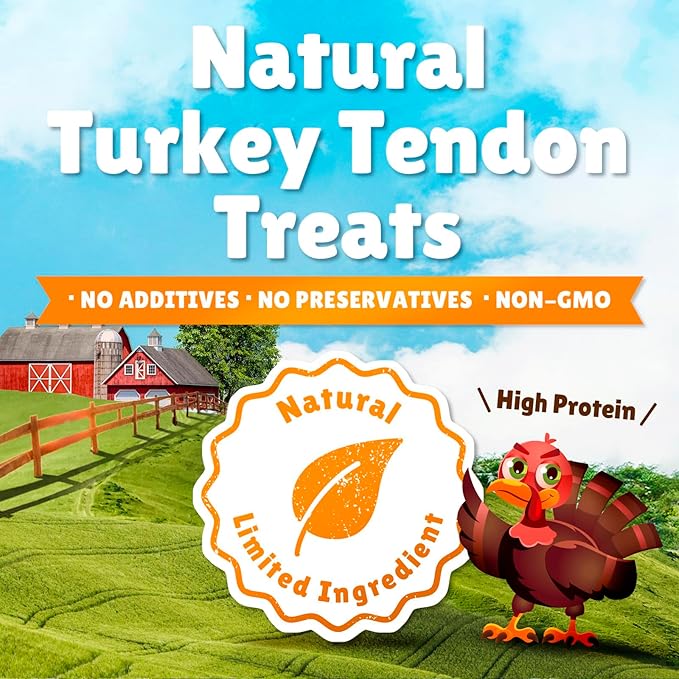 Gootoe Soft Turkey Tendon Dog Treat–Natural Chewy Snack, 100% USA-Sourced, Premium Training Chew, Hypoallergenic, Reseal Value Bag, Ideal for Small& Senior Dog, Soft Strip Jumbo Pack, 1 lb (Pack of 1)