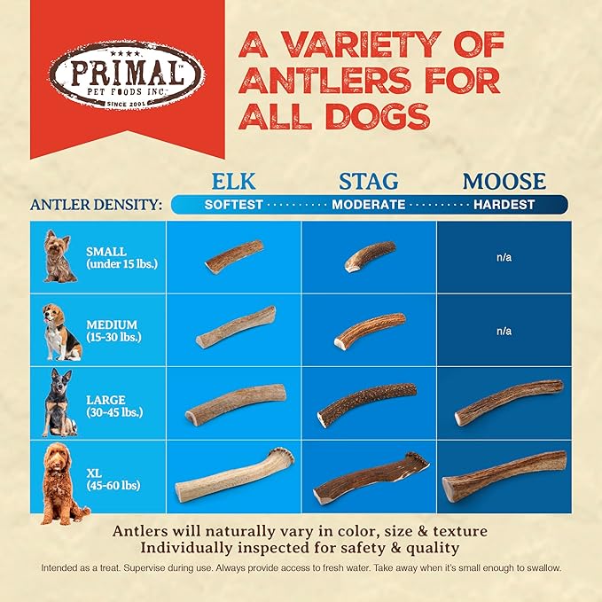 Primal Antlers for Dogs - Grade A Split Moose Antlers for Large Dogs 45-60 lb - Natural Dog Chews for Aggressive Chewers - Naturally Shed Antlers - Long Lasting Dog Bones - 1 ct