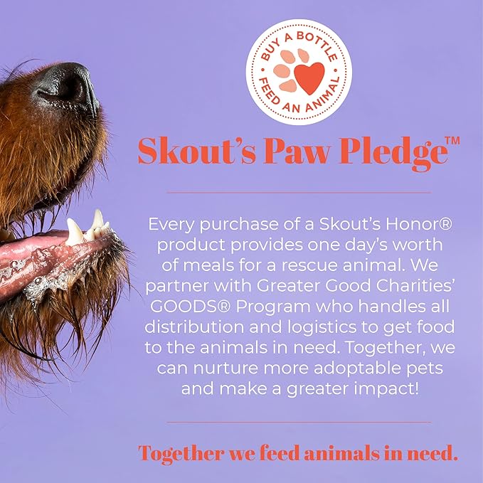SKOUT'S HONOR Probiotic Itch Relief Spray for Pets - Non-Medicated, Fragrance-Free, Natural, Vegan, Long-Lasting Relief, with Soothing Oatmeal, 8 oz