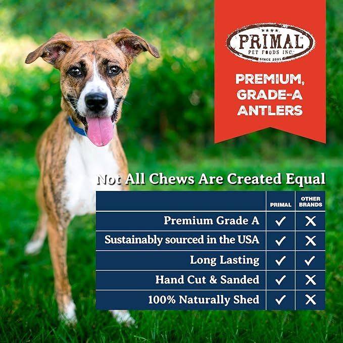 Primal Antlers for Dogs - Grade A Split Moose Antlers for Large Dogs 45-60 lb - Natural Dog Chews for Aggressive Chewers - Naturally Shed Antlers - Long Lasting Dog Bones - 1 ct