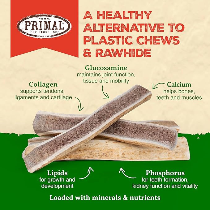 Primal Antlers for Dogs - Grade A Split Moose Antlers for Large Dogs 45-60 lb - Natural Dog Chews for Aggressive Chewers - Naturally Shed Antlers - Long Lasting Dog Bones - 1 ct