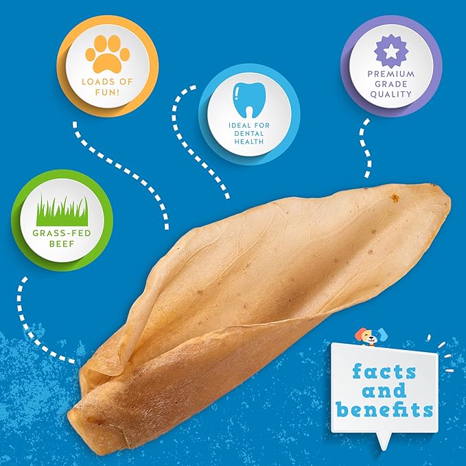 Jack&Pup Natural Cow Ears for Dogs Single Ingredient Dog Treat, Unbleached Healthy Dog Treats Natural Dog Treats for Medium Dogs with Chondroitin Joint Health for Dogs Cow Ear Dog Chews (15 Pack)