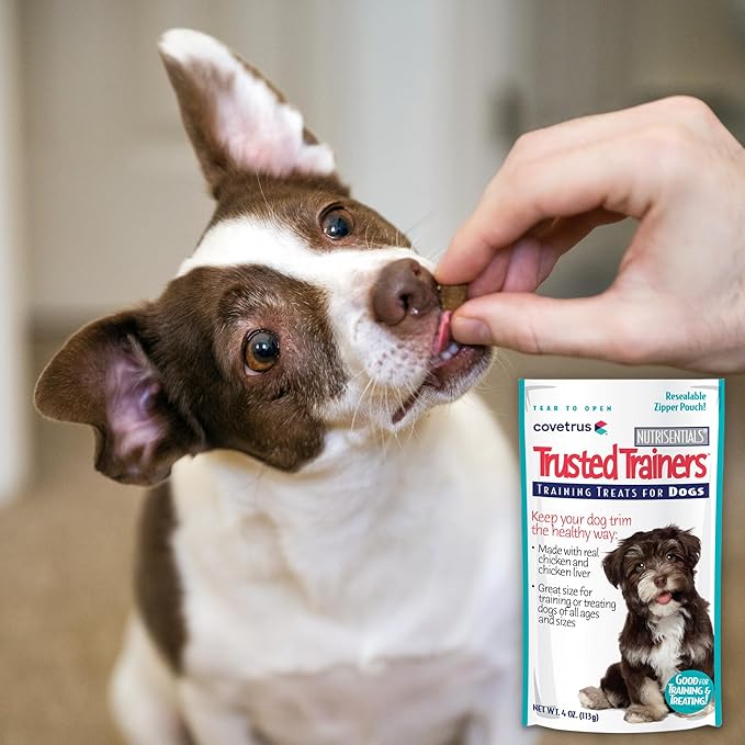 NutriSentials Trusted Trainers Training Treats for Dogs - Soft Dog Treats for Small, Medium & Large Dogs - Chicken Flavor - 3 Pack - 4 oz