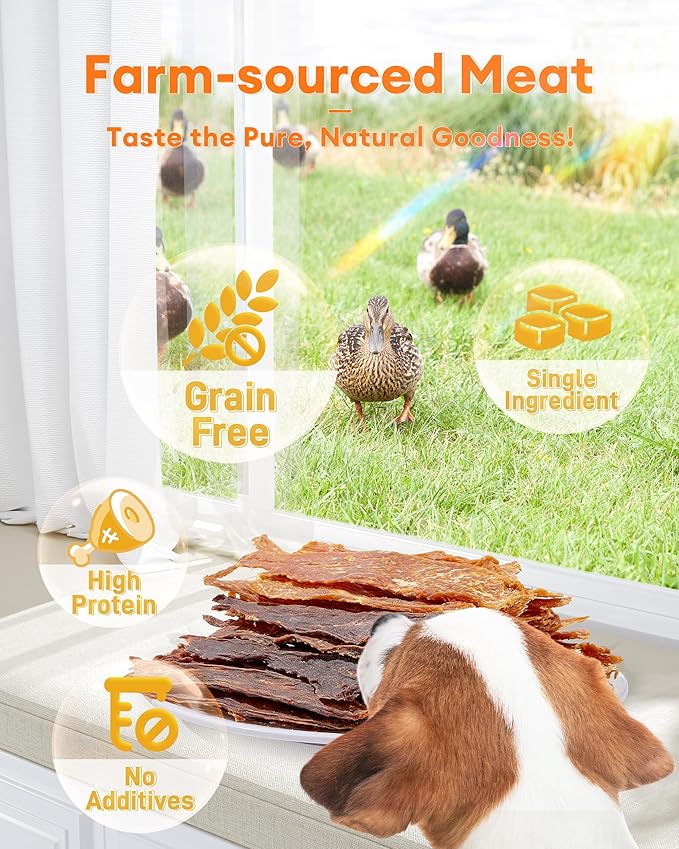 Chicken & Duck Jerky Dog Treats - Natural Dog Treats, 17.6 oz Sealed Box, 12-Hour Slow-Dried for Maximum Flavor and Nutrients, Preservative-Free, Perfect for Training & Healthy Snacking