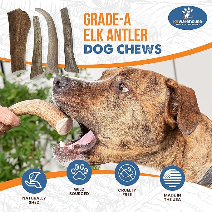 Split Antler for Dogs - Natural Dog Antlers for Aggressive Chewers - USA Sourced Elk Antlers for Dogs Small, Medium, Large - Healthy Elk Antlers for Teeth Cleaning & Chewing Pleasure