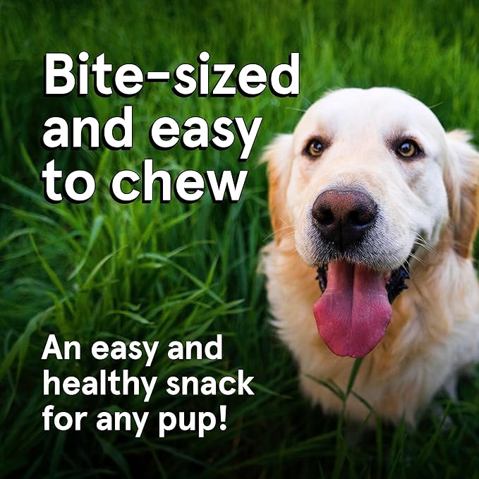 Real Meat Dog Treats - 12oz Bag of Bite-Sized Air-Dried Fish & Venison Jerky for Dogs - Grain-Free Jerky Dog Treats Made up of 95% All-Natural, Human-Grade, Free-Range Venison & Ocean-Caught Fish