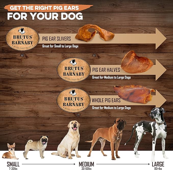 100% Natural Whole Pig Ear Dog Treat - 25 Pack - Our Healthy Dog Pig Ears Are Easy To Digest, Chemical & Hormone Free Thick Cut Pig Ears For Dogs Aggressive Chewers, Great For Small Or Large Dogs