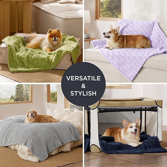 Bedsure Dog Blanket for Small Dogs Washable - Soft Fluffy Puppy Blanket with Premium 300GSM Coral Fleece, Cozy Calming Cat Blankets for Indoor Cats, Fuzzy Pet Blanket for Kitten Doggy, Green, 25x35IN