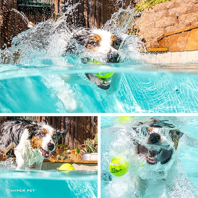 Hyper Pet Tennis Balls for Dogs - 12 Pack 2.5" for Exercise and Fetch, Interactive Toys, Great for Small Breeds