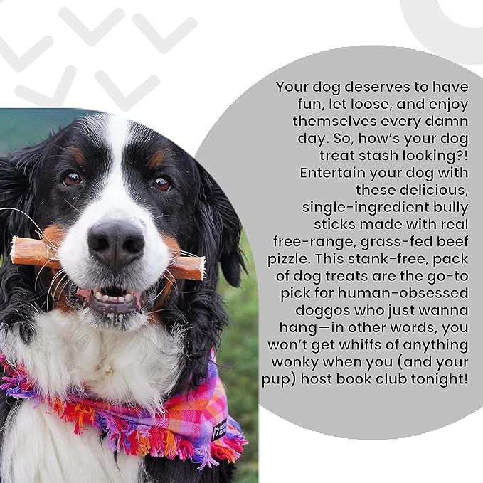 I and love and you No Stink Free Ranger Bully Stix - Beef - Rawhide Alternative, Single Ingredient, Free Range Grass Fed Beef, 12in, 5ct
