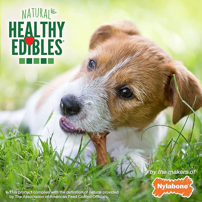 Nylabone Healthy Edibles Broth Bone Natural Dog Chews Long Lasting Treats Ham Flavor Small/Regular - Up to 25 Ibs. (4 Count)