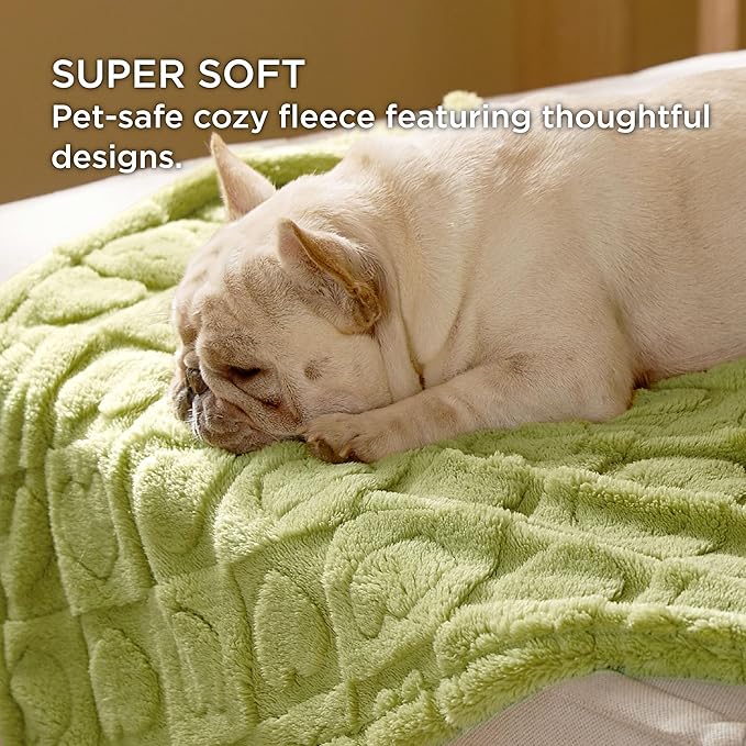 Bedsure Dog Blanket for Small Dogs Washable - Soft Fluffy Puppy Blanket with Premium 300GSM Coral Fleece, Cozy Calming Cat Blankets for Indoor Cats, Fuzzy Pet Blanket for Kitten Doggy, Green, 25x35IN