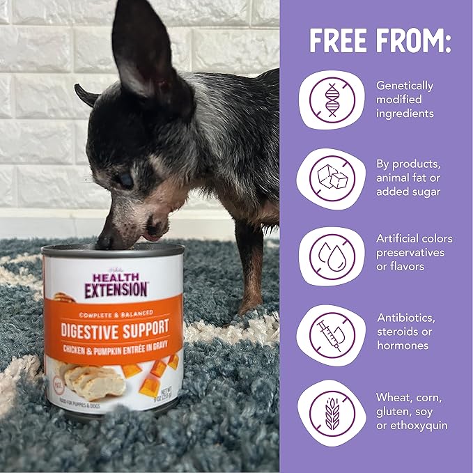 Health Extension Wet Dog Food Chicken & Pumpkin Entrée in Gravy, 9 oz - Digestive Support with Superfoods & Antioxidants for Immune Support (Case of 12 Cans)
