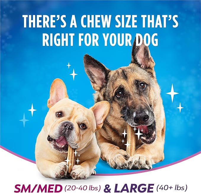 Dentalife Plus Digestive Support Dog Treats for Small and Medium Dogs 20-40 lbs., Cleans Teeth, Freshens Breath, & Supports Healthy Gut, Chicken & Pumpkin Flavor, 6 oz., 8 Chews - 6 oz. Pouch