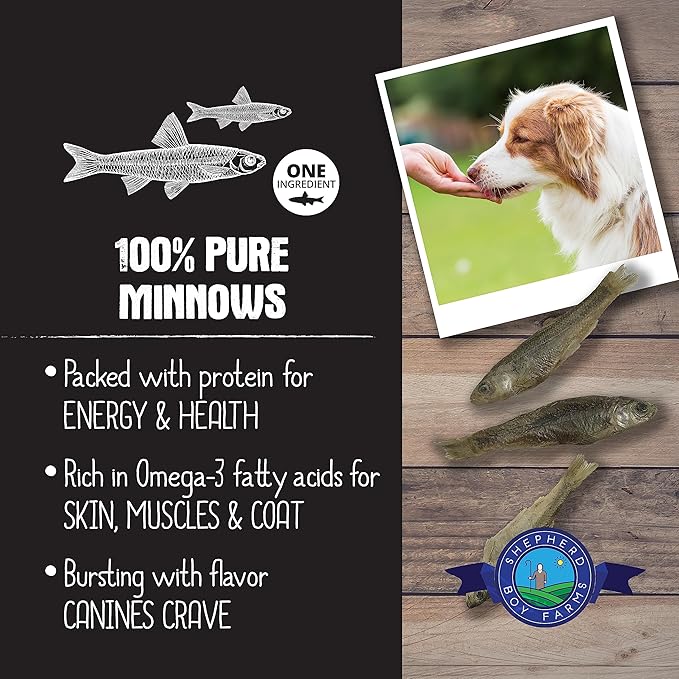 Freeze Dried Dog and Cat Treats, Minnows, All Natural Single Ingredient Freeze-Dried Dog Treat & Dog Snacks, Made in USA, High in Protein, Essential Nutrition of Raw Dog Food, 2oz