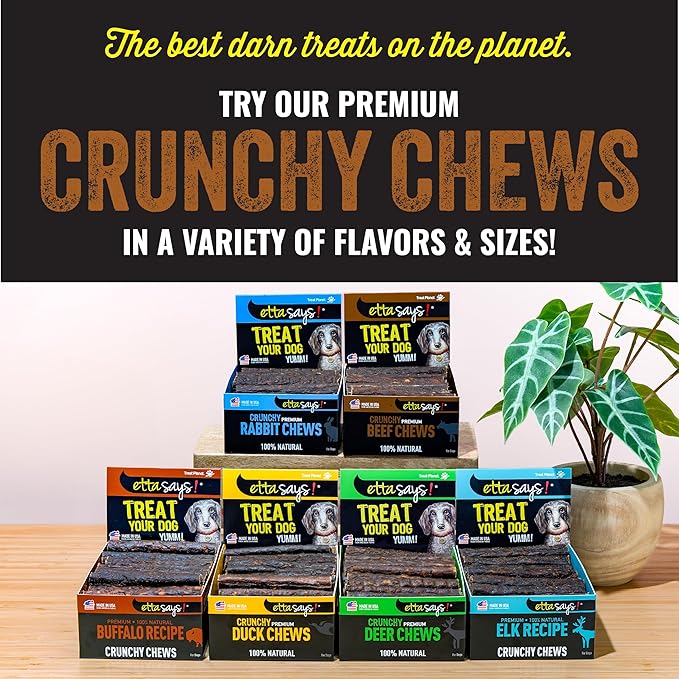 etta says! Premium Crunchy 4.5" Buffalo Dog Chews - Grain-Free Dog Treats, Good for Teeth, Easy to Digest - Made in The USA (36 Count Pack of 1)