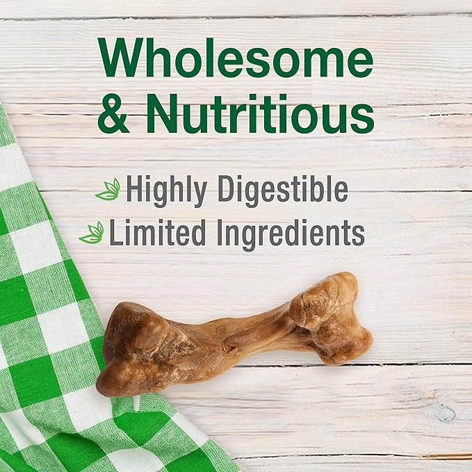 Nylabone Healthy Edibles Broth Bone Natural Dog Chews Long Lasting Treats Ham Flavor Small/Regular - Up to 25 Ibs. (4 Count)