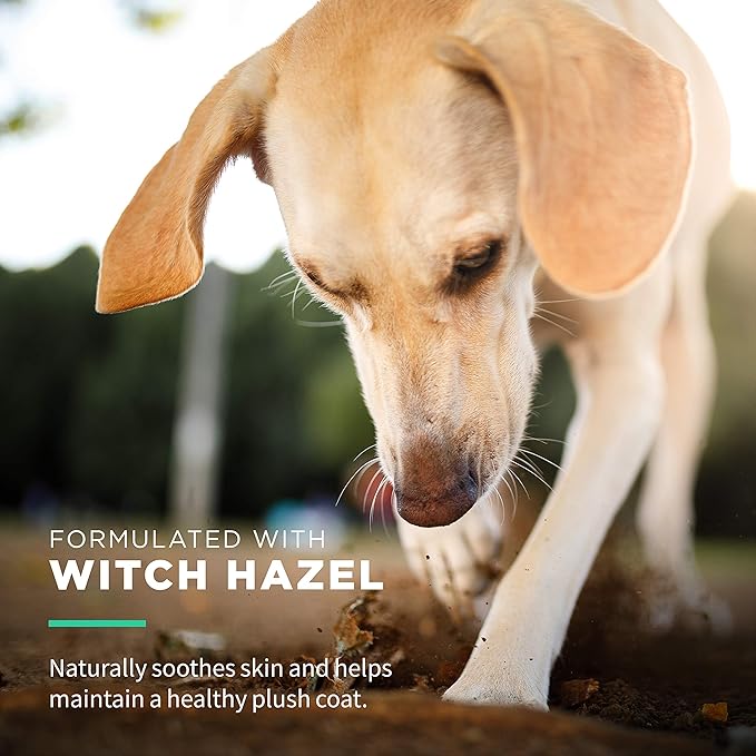 Wet Ones for Pets Extra Gentle Dog Wipes with Witch Hazel for Snout, Eye, Ear, Fragrance-Free Dog Wipes for All Dogs Wipes with Wet Lock Seal (Pack of 8, 240 Count Total)