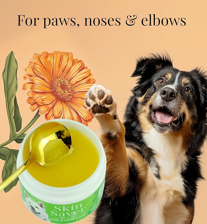 Paw & Nose Balm - All Natural & Vegan Skin Saver for Dogs & Cats - Paw Cream & Lotion for Protecting Dry Paws, Noses & Elbows (2 oz / 60 g Tube)