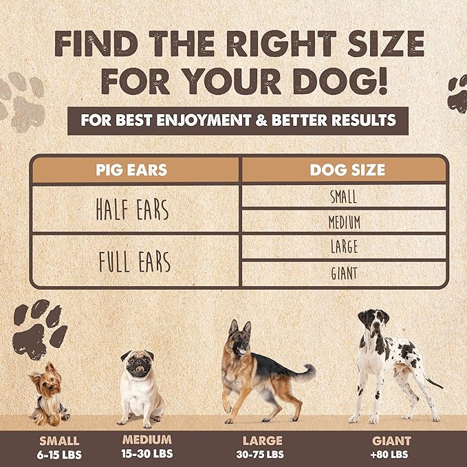Mighty Paw Full Pig Ears for Dogs (6 lb) | All Natural Dog Treats. Single Ingredient Pig Ear Dog Treats. Better Than Rawhide Dog Snacks for Puppy & Large/Medium Dogs. Pigs Ears Dog Chews, Dog Pig Ears
