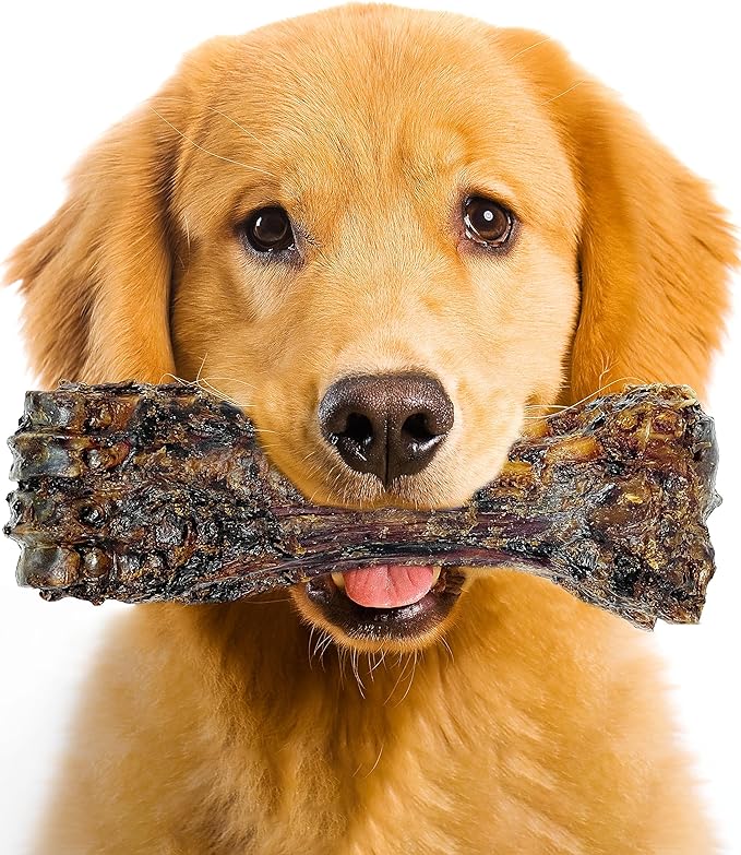 Liver Coated Dog Bones for Aggressive Chewers, Natural Dog Bones for Large Dogs, Beef Shin Large Dog Bones for Medium Dogs, Bones for Dogs Long Lasting, Dog Chew Bones - 1 Count